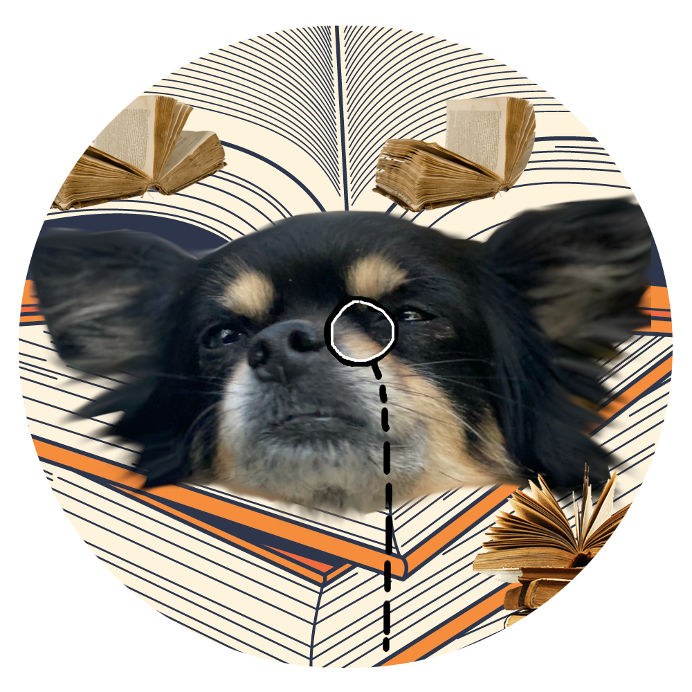 dog img-fluid
